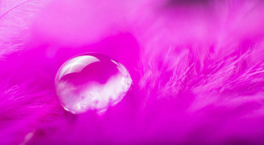 一个抽象的图像粉红色的蓬松羽毛与一个宏观的水露水下降, 美丽的自然背景