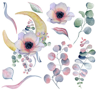 花花束和月亮阶段水彩例证图片