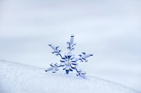 在雪中的雪花