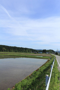 春季, 稻田, 秋田, 日本, 景观