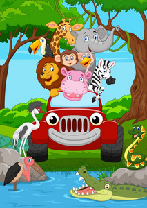 动画片野生动物骑红色汽车在丛林中
