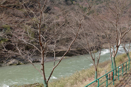 嵯峨野观光线的景观观