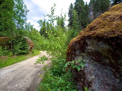 一大片布满青苔的大石头, 在森林道路上。北部森林