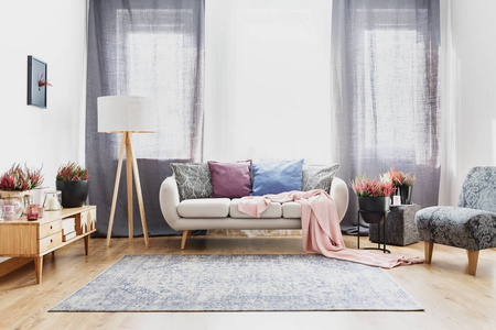 沙发背后的灰色窗帘与五颜六色的枕头在宽敞的客厅内与地毯, 灯和 heathers