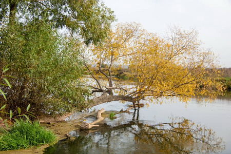 秋天的风景。河, 秋树的颜色不同。旧的干草。令人惊讶的美丽风景。哀伤的时间, 在冬天寒冷的前夕