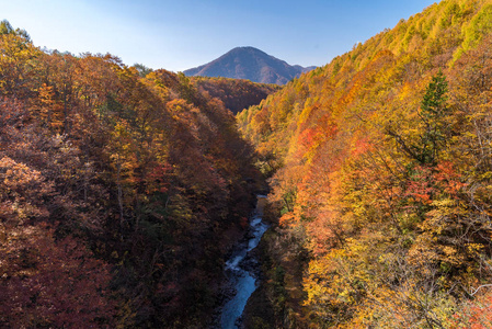 日本秋季福岛 Nakatsugawa 峡