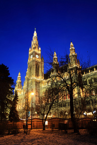 维也纳的市政厅在圣诞来临