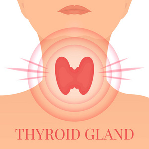 疼痛靶的甲状腺