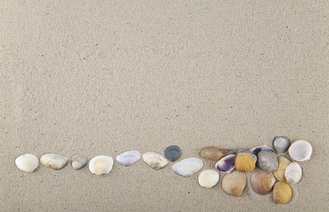 贝壳和石头在沙子为放松作为背景