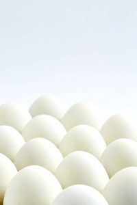 一只母鸡在无害，纸板包装在白色背景上的白蛋