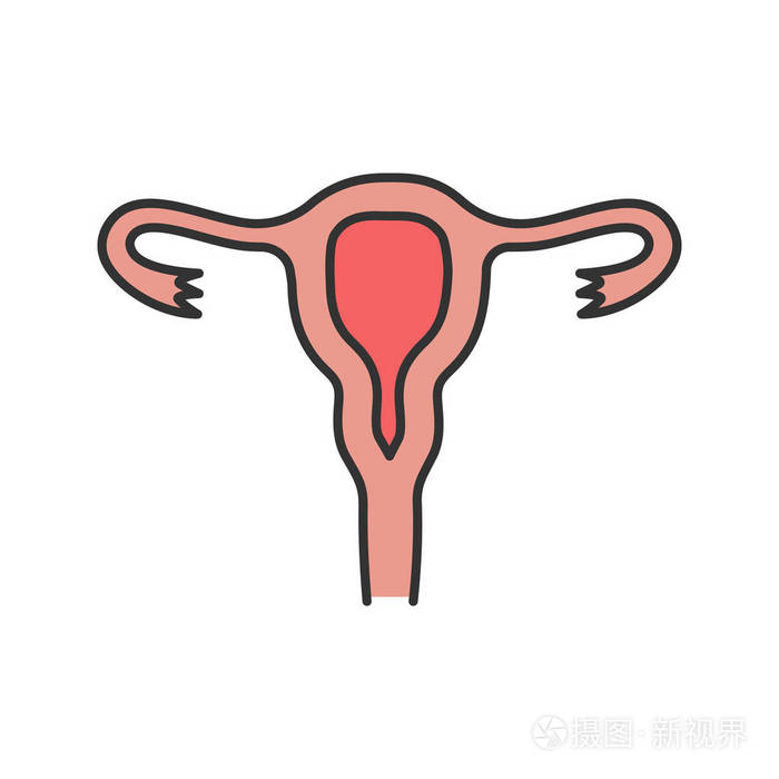 摄图新视界 插画 矢量图 子宫, 输卵管和阴道颜色图标.女性生殖系统.