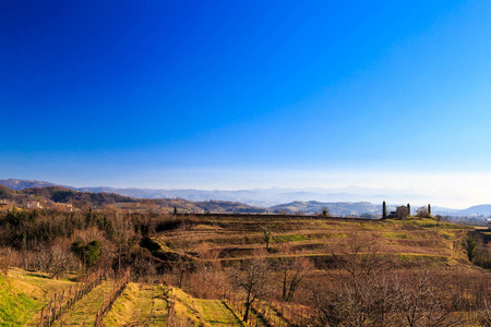 日落在葡萄田附近的 Rosazzo, Collio, 弗留利 Venezzia朱利亚, 意大利