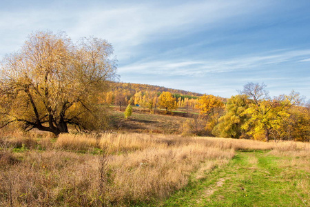 秋天风景大自然图片