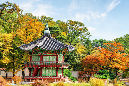 在韩国首尔景福宫宫美丽的秋季花园里, Hyangwonjeong 亭的美景令人惊叹。传统韩国建筑在五彩树中的美妙亭子