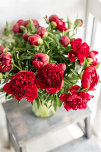 可爱的花在玻璃花瓶里。美丽的红牡丹花束。花卉组合, 场景, 日光。壁纸。垂直照片