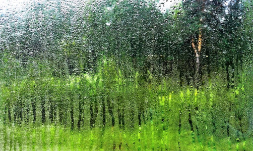窗外的雨和森林摄影图