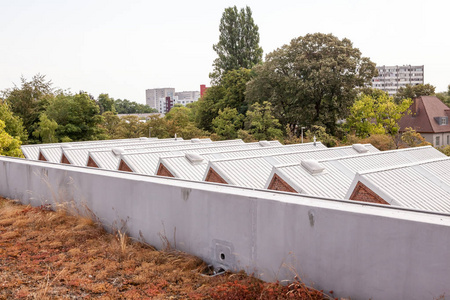 工业区高层建筑屋顶圆顶图片