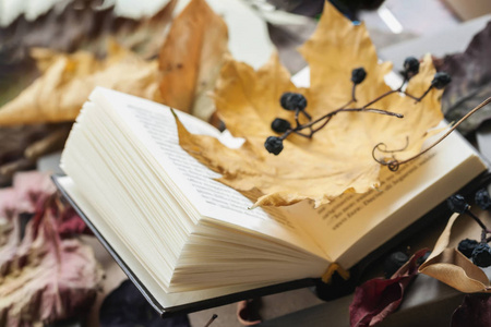 枫叶特写翻开书本特写, 覆盖着干燥的秋枫叶, 阳光明媚的秋天, 现代的