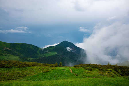 剧烈的山风景在风暴之前猛烈灰色云彩漂浮在绿色树木繁茂的山之上到天际