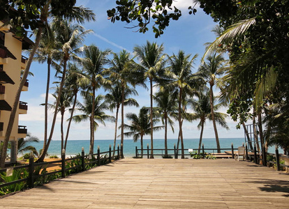 美丽的风景由海与椰子树和明亮的天空