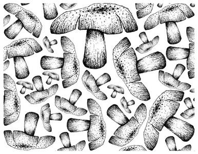 秋季植物, 插画壁纸的背景, 美丽的蘑菇被隔离在白色背景。象征秋季标志植物