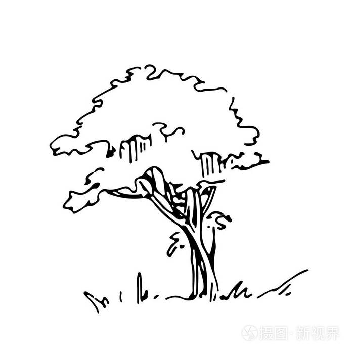 手绘建筑师树, 矢量素描, 建筑插图