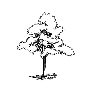 手绘建筑师树, 矢量素描, 建筑插图照片