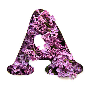 字母 a 的英文字母表从美丽的紫色的丁香花在白色的模具