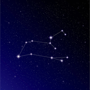 狮子特技深蓝色背景下夜空中的狮子星座照片
