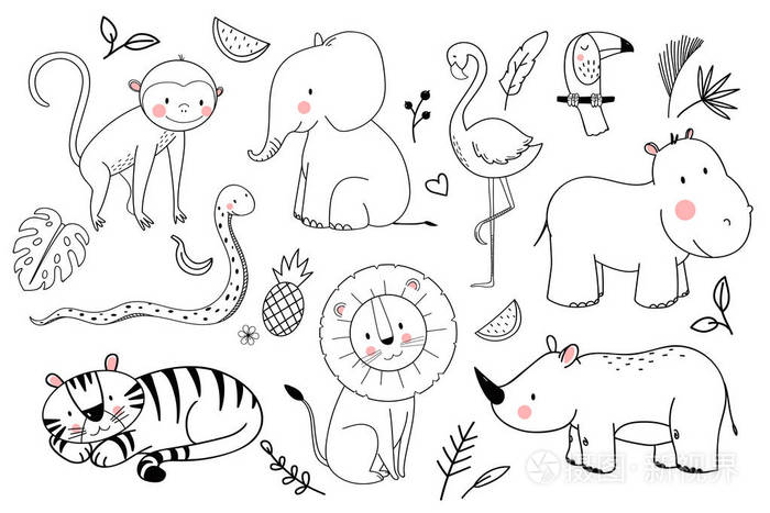 野生动物园动物矢量集