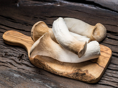 木质牡蛎蘑菇