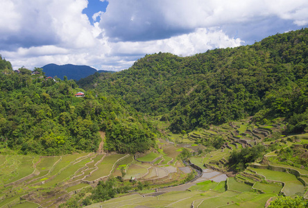 在菲律宾巴拿墟的水稻梯田景观。巴拿墟米梯田是联合国教科文组织世界遗产遗址自1995年以来