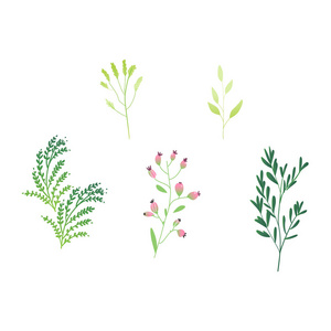 矢量卡通抽象绿色植物集图标