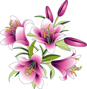 百合花的婚礼花束图片