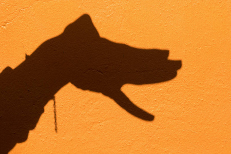 手的影子象征着动物就像一条狗在橙色的墙背上