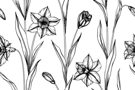 无缝水仙花花图案背景。黑白画线艺术插图