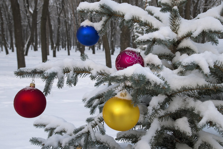 在森林里的圣诞树上挂着的圣诞装饰品