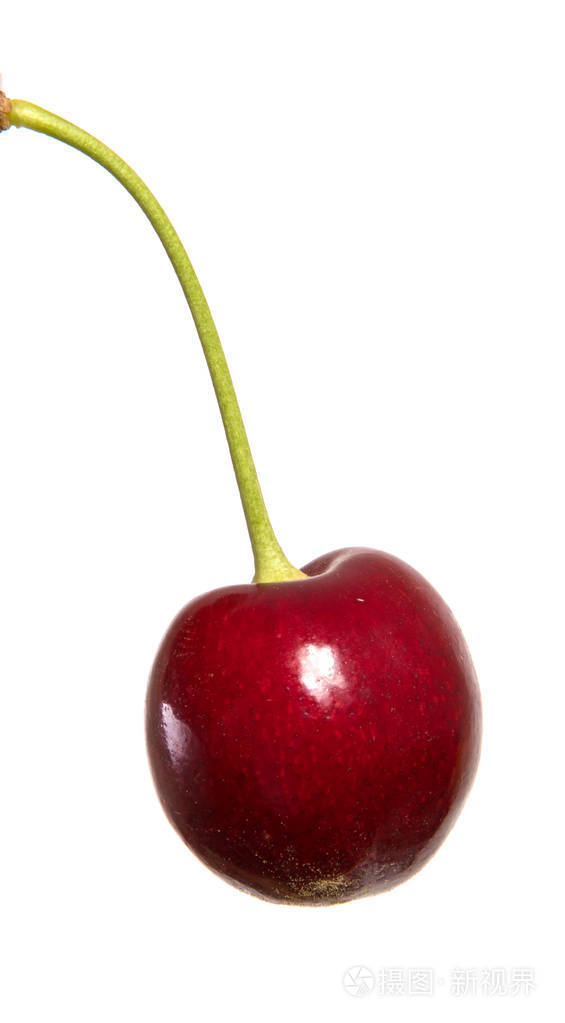 浆果是柄上的深红色樱桃 在白色背景上被隔离照片 正版商用图片05qchs 摄图新视界