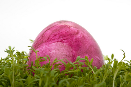 复活节兔子巧克力做的复活节蛋在一个绿色的草甸与前一片蓝天花