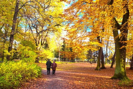 情侣走路高级情侣在公园里照片