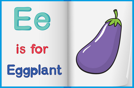 茄子在一本书中的一张图片用铅笔在传统的白色记事本纸上手工书写英语