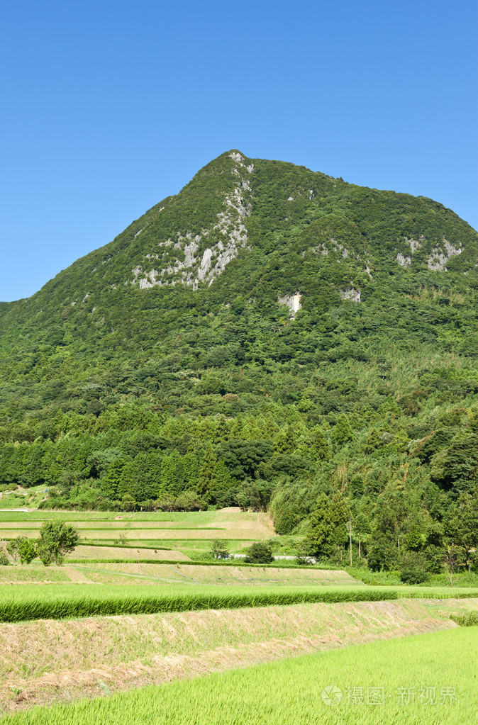 山和稻田中