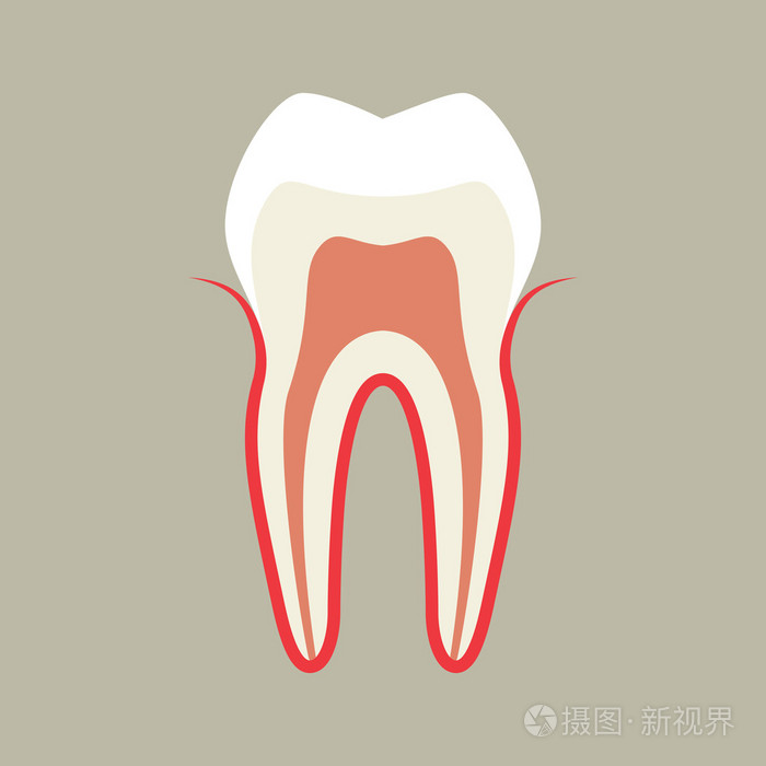 牙的插图插画-正版商用图片05qrcw-摄图新视界