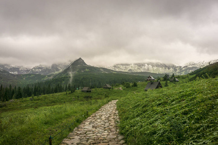 Gasienicowa 山谷在6月。Tatra 山。波兰