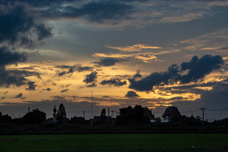 稻田和树木后面的夕阳