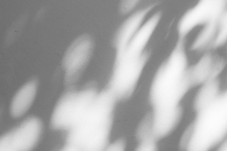 在混凝土墙上的影子叶黑色和白色抽象背景 textuer