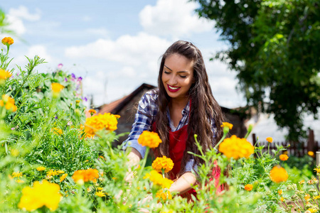 一个年轻的女人喜欢花园里的花朵.照片