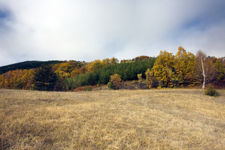 山风景的视图