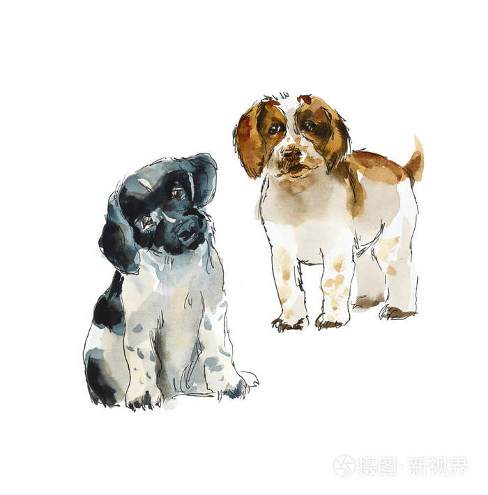 短跑运动员猎犬 人像狗 水彩画手画插图照片 正版商用图片05rgj9 摄图新视界