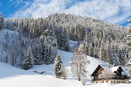 冬天山村风景与雪树和传统高山小屋